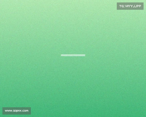 上海武术散打赛事—上海武术散打赛事有哪些